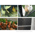Poultry Wire Netting Hexagonal Galvanized Mesh